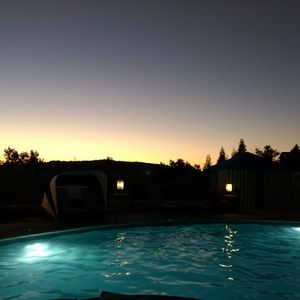 Meet your Posher, Sam